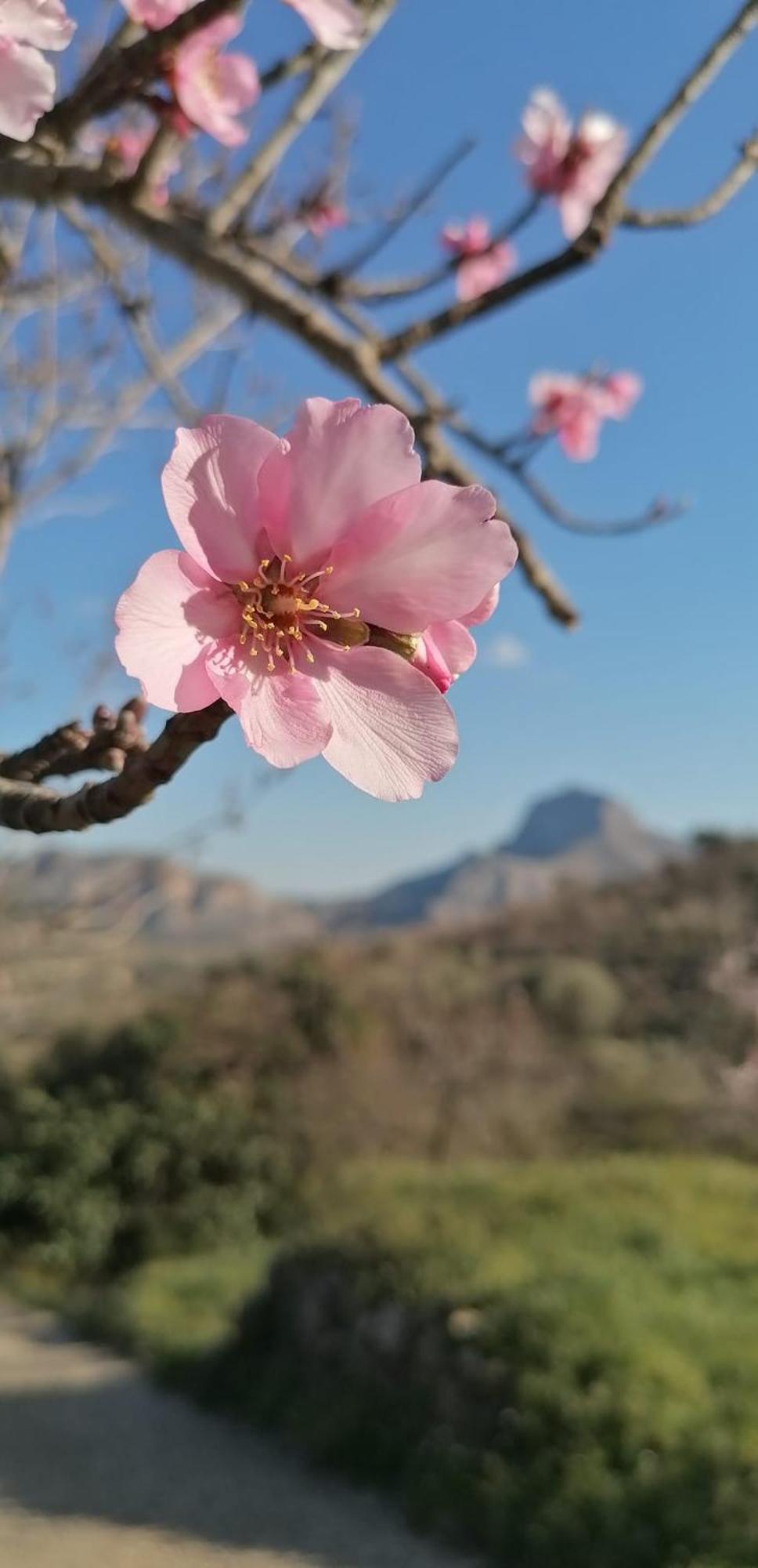 Can Lluna Tu Casa Zen Tárbena 외부 사진